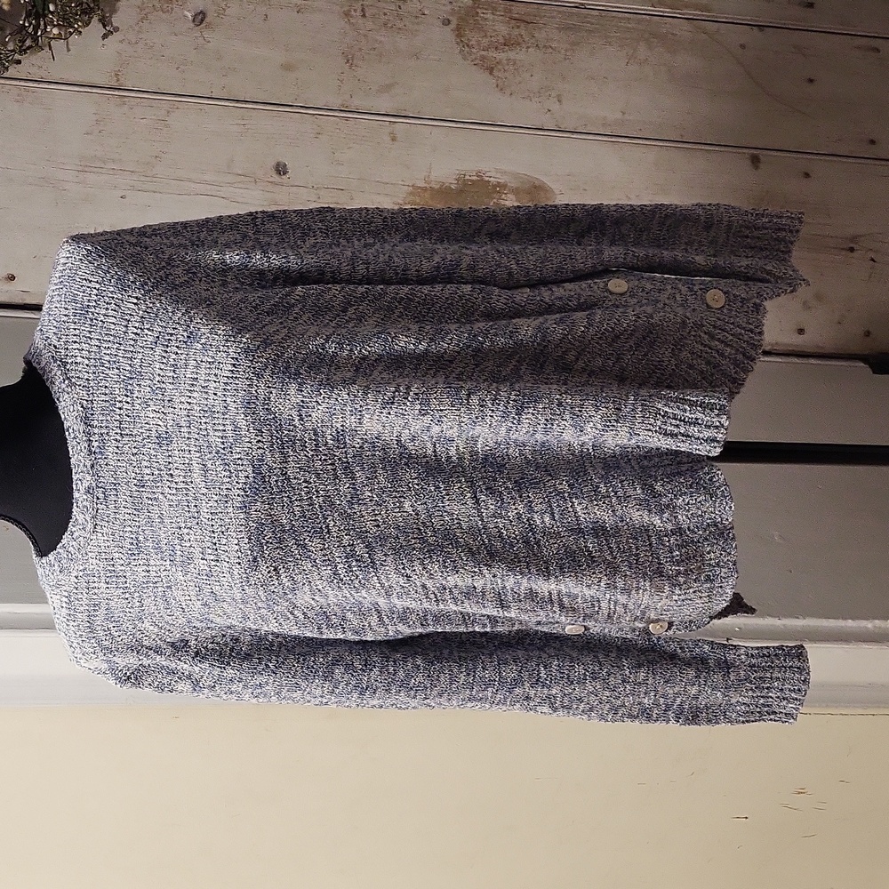 Chaps blue white sweater